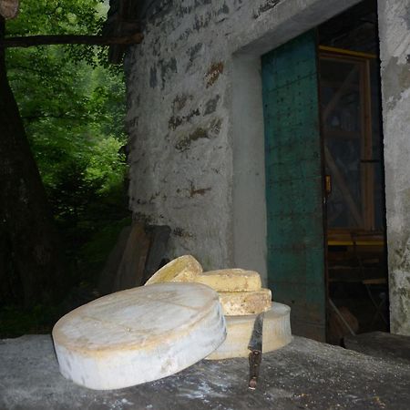 Bed and Breakfast Da Erminia Verdabbio Exterior foto